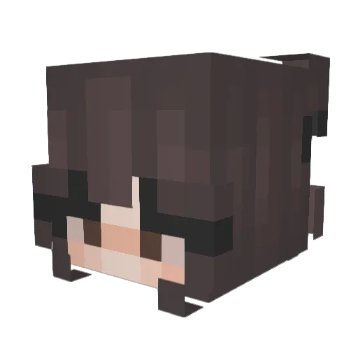notsimp0001 Minecraft avatar head, 3D render