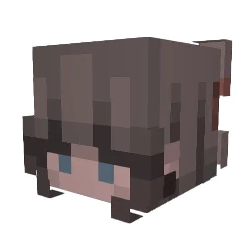 notsorue Minecraft avatar head, 3D render