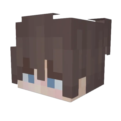 notswaggi Minecraft avatar head, 3D render
