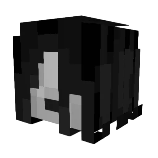 nottempourtant Minecraft avatar head, 3D render