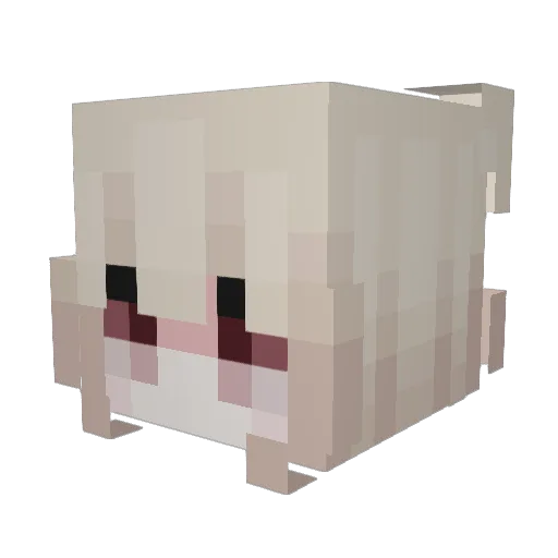 nottessss Minecraft avatar head, 3D render