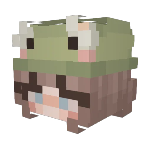 notthebiscuits Minecraft avatar head, 3D render