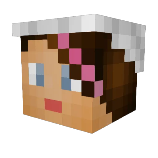nottooschabby Minecraft avatar head, 3D render