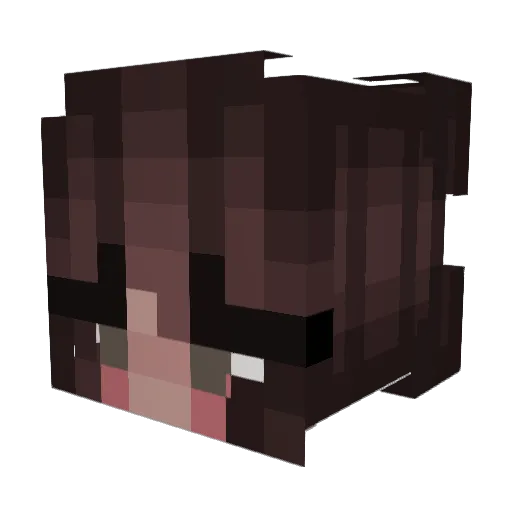 nottumblr Minecraft avatar head, 3D render