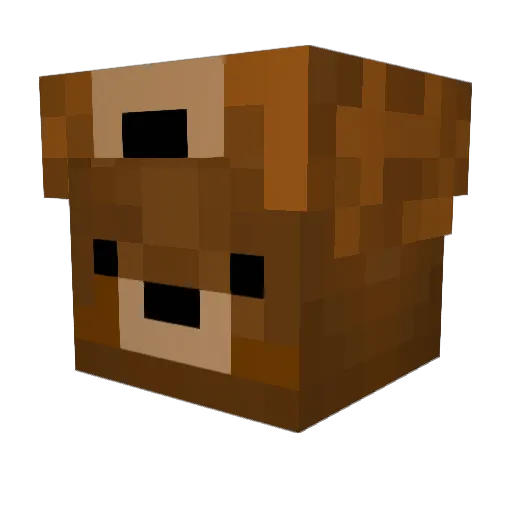 noturbaee Minecraft avatar head, 3D render
