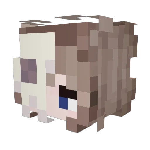 notvalorine Minecraft avatar head, 3D render