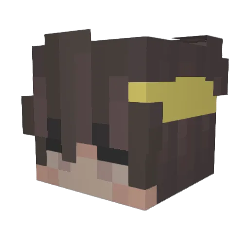 notwisikabuthope Minecraft avatar head, 3D render
