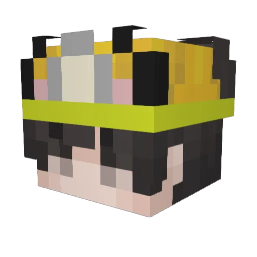 notwoways_ Minecraft avatar head, 3D render