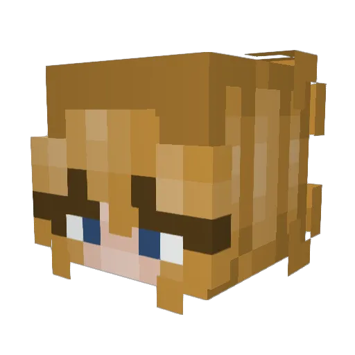 notyourfish Minecraft avatar head, 3D render