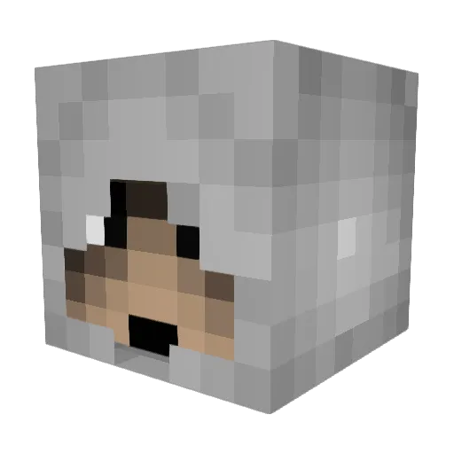 notzelda123 Minecraft avatar head, 3D render