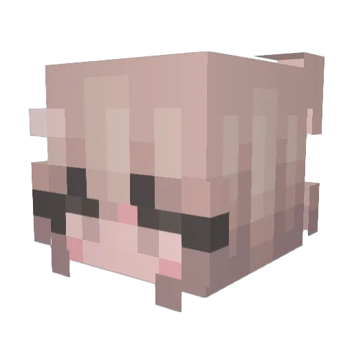 notzsm Minecraft avatar head, 3D render