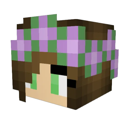 nou_nou Minecraft avatar head, 3D render