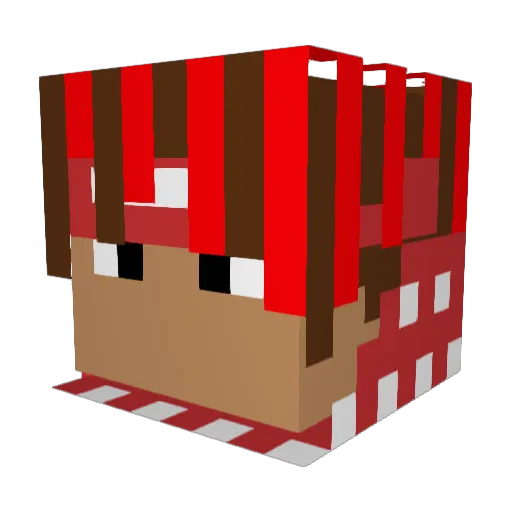 nougat11 Minecraft avatar head, 3D render