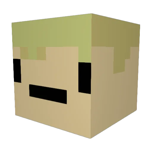 nouper Minecraft avatar head, 3D render