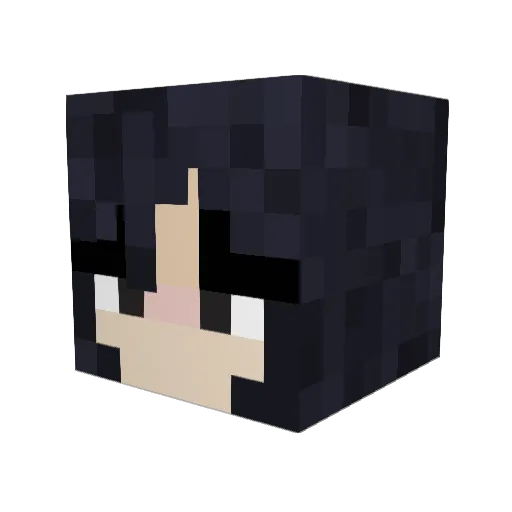 nourrrrr Minecraft avatar head, 3D render