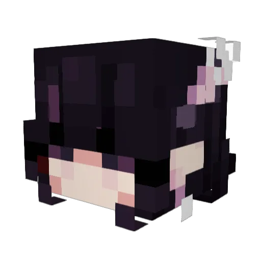 novaFracture Minecraft avatar head, 3D render