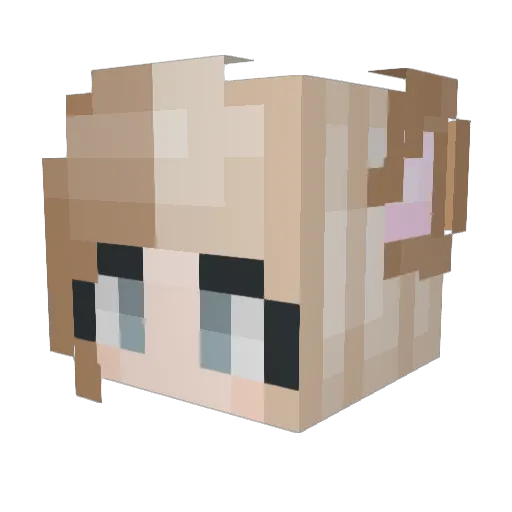 nova_iris Minecraft avatar head, 3D render