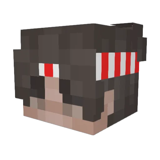 nova_skytrap Minecraft avatar head, 3D render