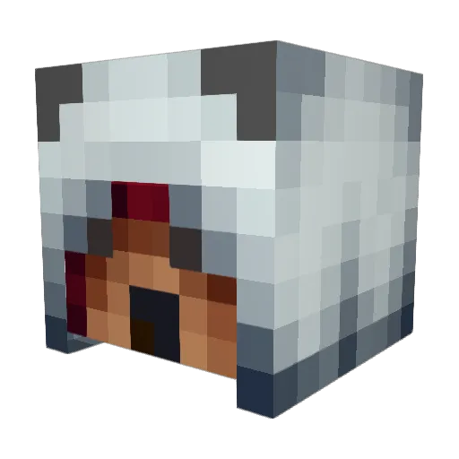 nova_void Minecraft avatar head, 3D render