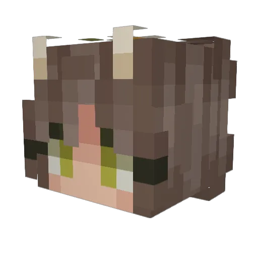 novafunc Minecraft avatar head, 3D render