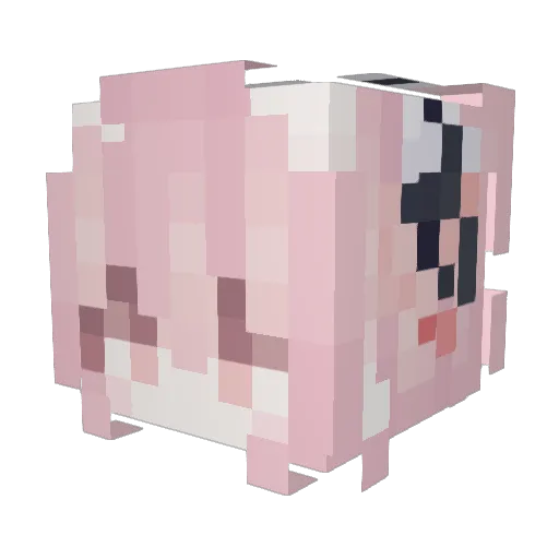 novicewhite Minecraft avatar head, 3D render