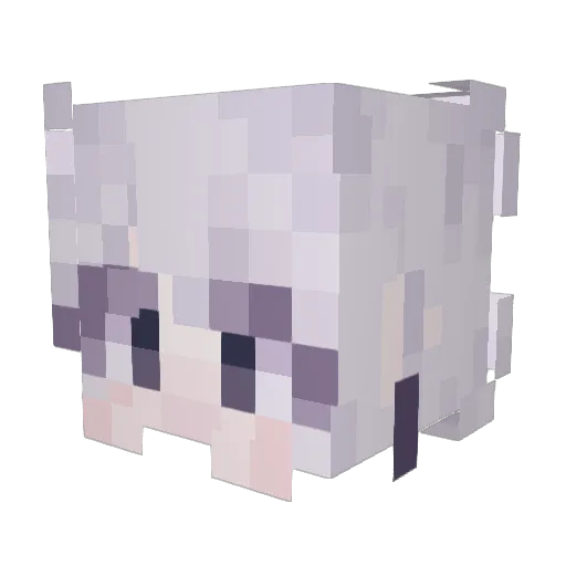 novitamin Minecraft avatar head, 3D render