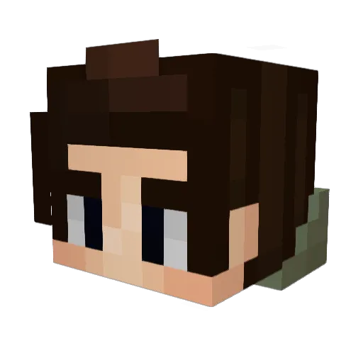 novoss Minecraft avatar head, 3D render