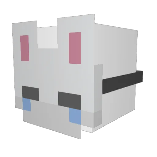 novoxaine Minecraft avatar head, 3D render