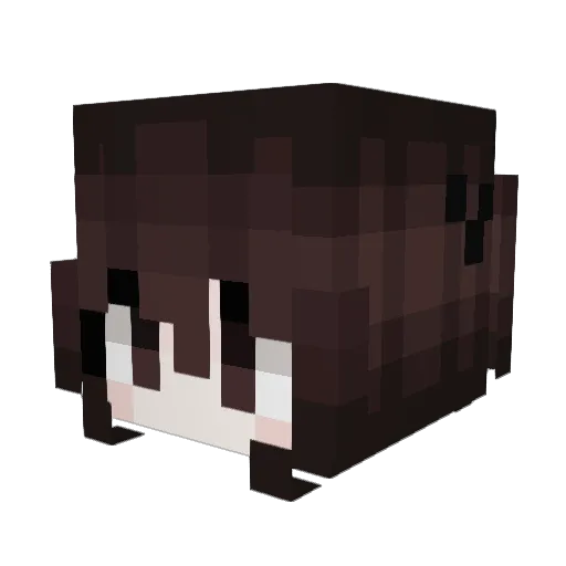 now Minecraft avatar head, 3D render