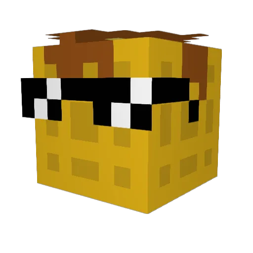 nowafflesforu Minecraft avatar head, 3D render