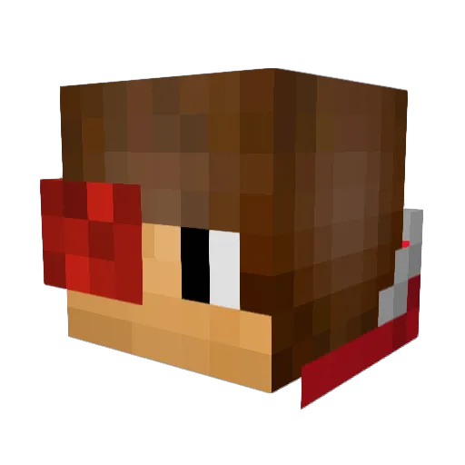 nowakprodigy Minecraft avatar head, 3D render
