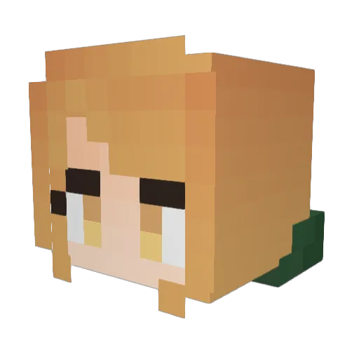 nowayout47 Minecraft avatar head, 3D render
