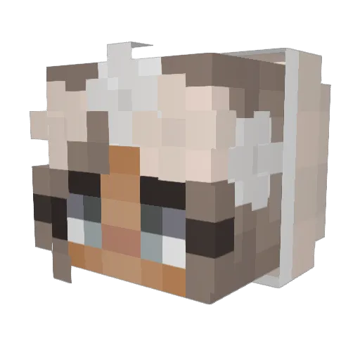 nowaz12 Minecraft avatar head, 3D render