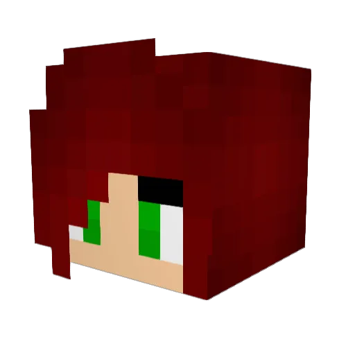 nowdeathblooms Minecraft avatar head, 3D render