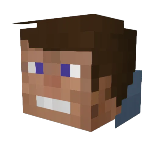 nowet Minecraft avatar head, 3D render