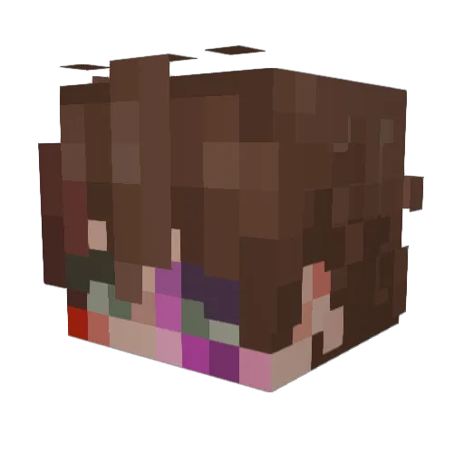 nowhereboy0 Minecraft avatar head, 3D render