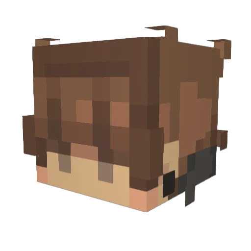 nowillnoway Minecraft avatar head, 3D render