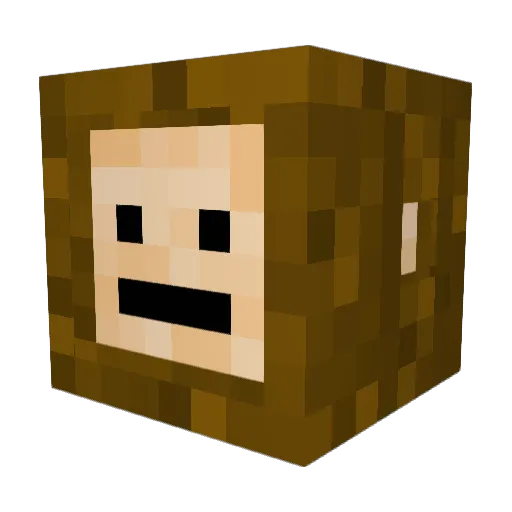 nowino Minecraft avatar head, 3D render