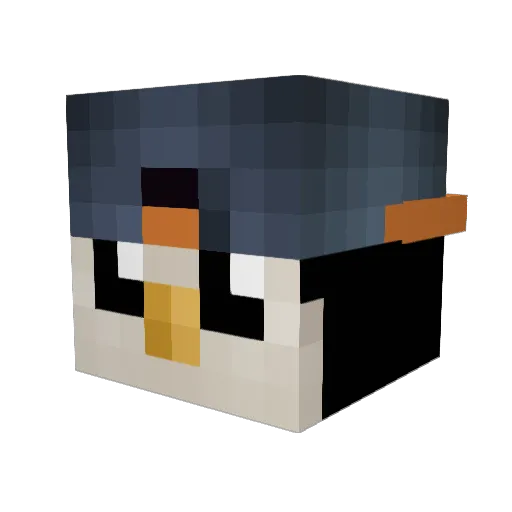 nowomaster3000 Minecraft avatar head, 3D render