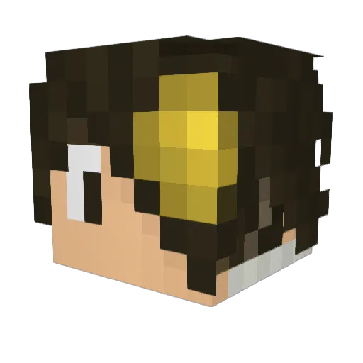 nowonknows Minecraft avatar head, 3D render