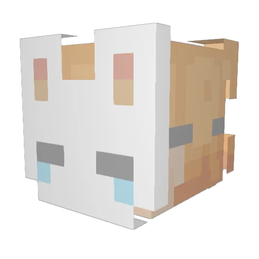 nowweriot Minecraft avatar head, 3D render