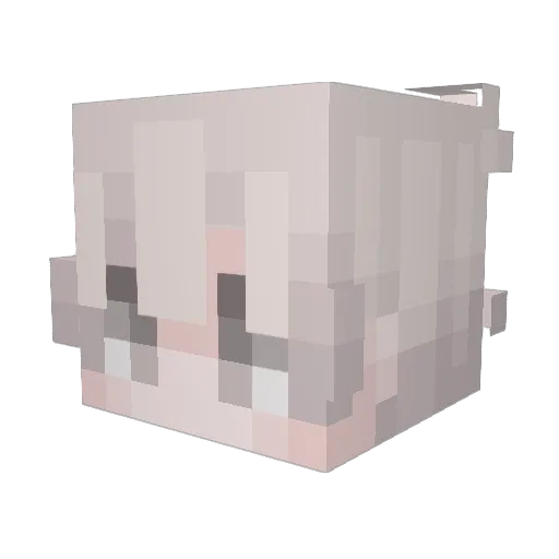nox_161 Minecraft avatar head, 3D render