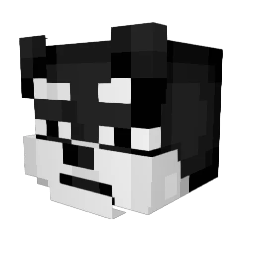 nox_WG Minecraft avatar head, 3D render