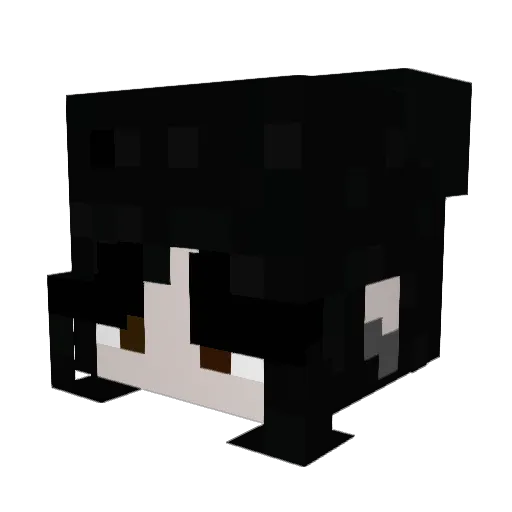 noxeous_ Minecraft avatar head, 3D render