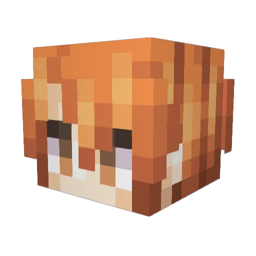 noxillustris Minecraft avatar head, 3D render