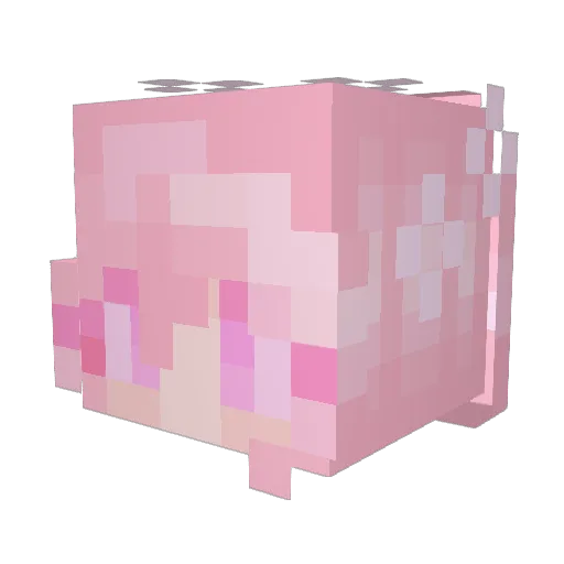 noxoasis Minecraft avatar head, 3D render