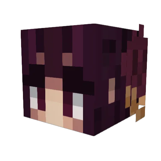 noxvit Minecraft avatar head, 3D render