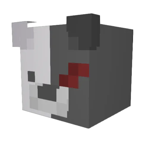 noxx1ous Minecraft avatar head, 3D render