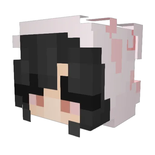 noxxternal Minecraft avatar head, 3D render