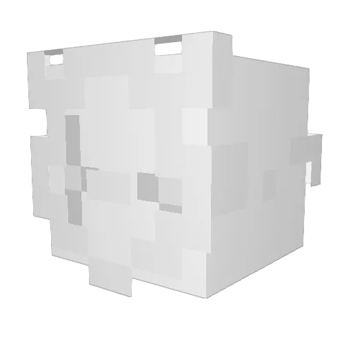noxxtle Minecraft avatar head, 3D render